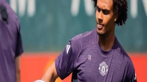 哈登跌倒瞬间，邓紫棋惊呆表情成网络热议素材